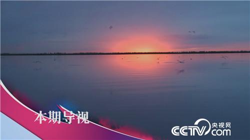 食尚大转盘:乌梁素海品蟹香 10月23日