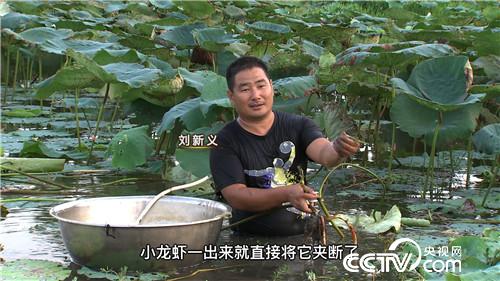 致富经:爱吹牛的小伙一年吹出百万财