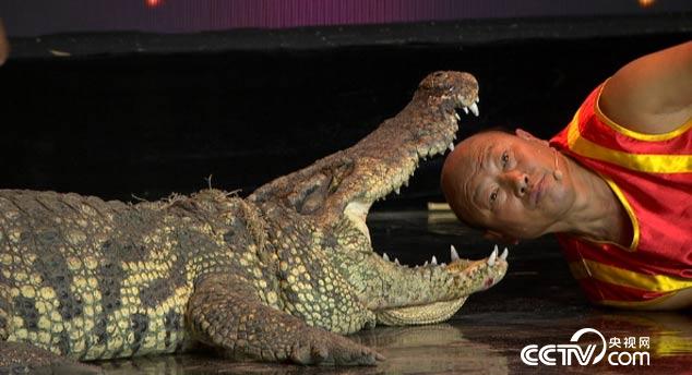 阳光大道:为你点赞 11月06日