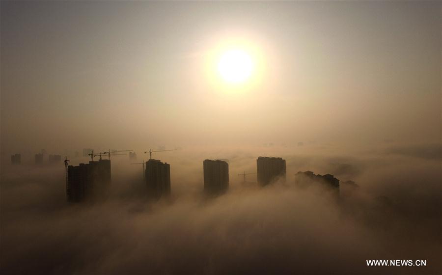 Photo taken on Nov. 14, 2016 shows buildings shrouded in fog in Rizhao, east China