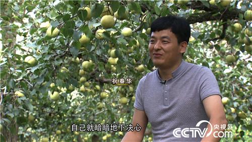 致富经:农村小伙儿的田间地头财富发现 11月18日