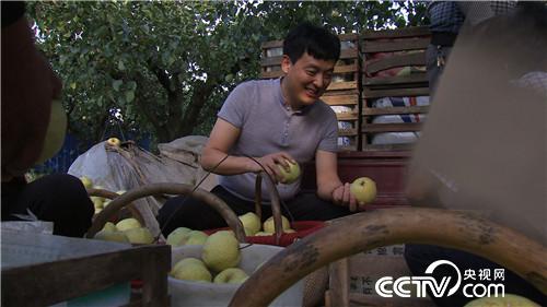 致富经:农村小伙儿的田间地头财富发现 11月18日