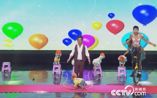 阳光大道 为你点赞 11月20日