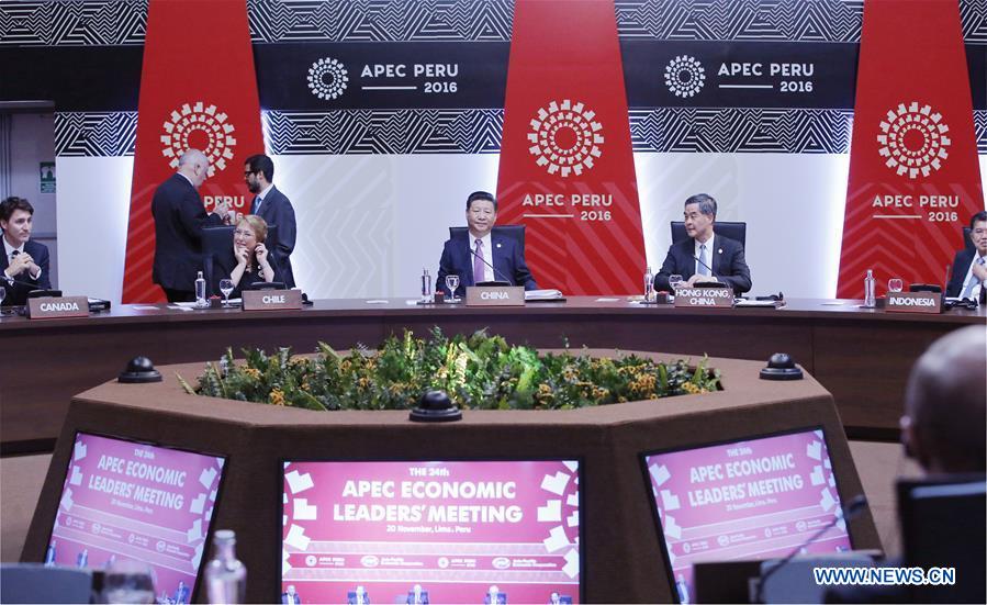 Chinese President Xi Jinping (C) attends the 24th APEC Economic Leaders