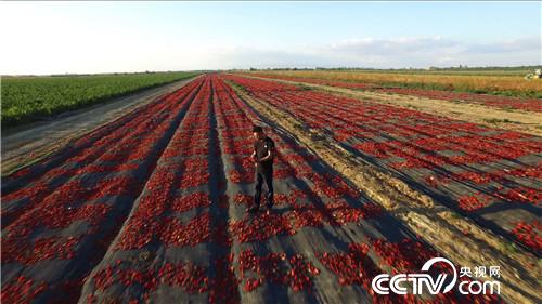 被股市套牢后遭遇火辣诱惑(2016.12.01)