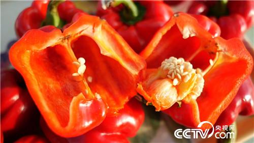 被股市套牢后遭遇火辣诱惑(2016.12.01)