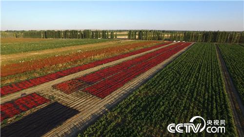 被股市套牢后遭遇火辣诱惑(2016.12.01)