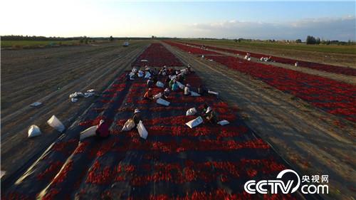 被股市套牢后遭遇火辣诱惑(2016.12.01)