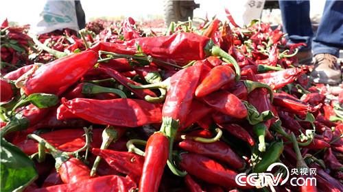 被股市套牢后遭遇火辣诱惑(2016.12.01)