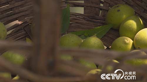绿色时空:黑核桃“改嫁”变成摇钱树 12月4日