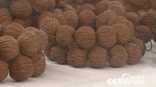 绿色时空:黑核桃“改嫁”变成摇钱树 12月4日