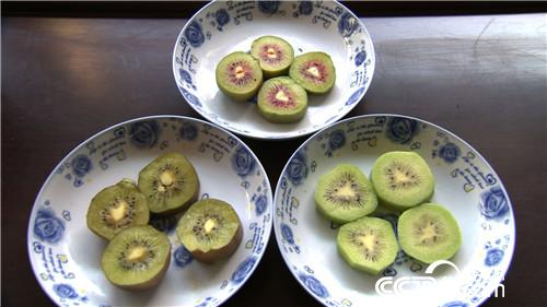 致富经:从不务正业到致富名人 12月8日