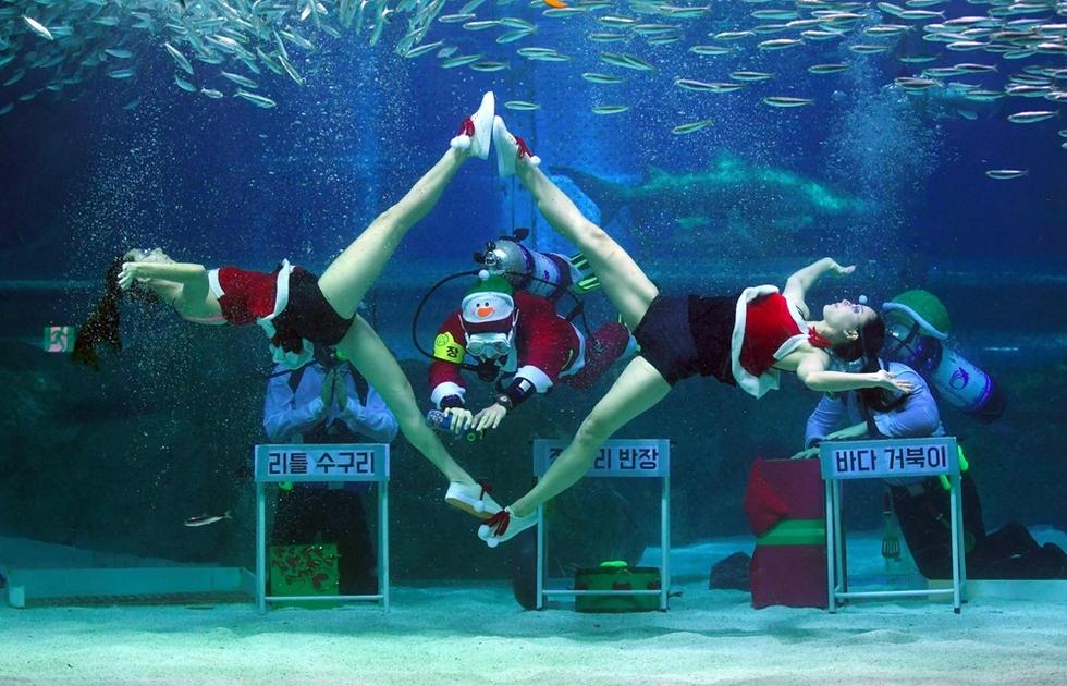 Christmas is just around the corner. This year Santa Claus ditches his reindeer and big sleigh to entertain children in Seoul with a brand new look.