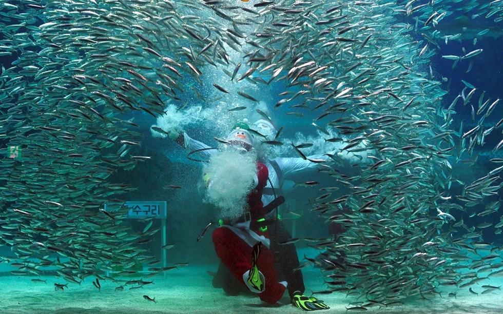 Christmas is just around the corner. This year Santa Claus ditches his reindeer and big sleigh to entertain children in Seoul with a brand new look.