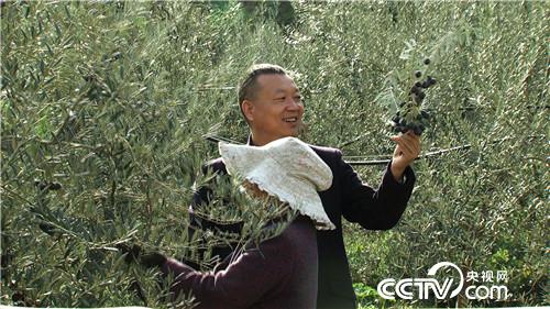 致富经:难吃果子 年入两千万 1月5日