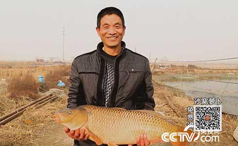 食尚大转盘:百元萝卜炖“傻鱼” 1月8日