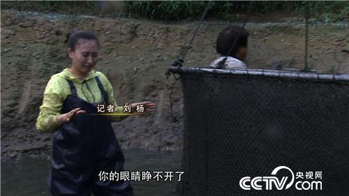 穷小子黑鱼塘捞出500万元(2017.1.9)