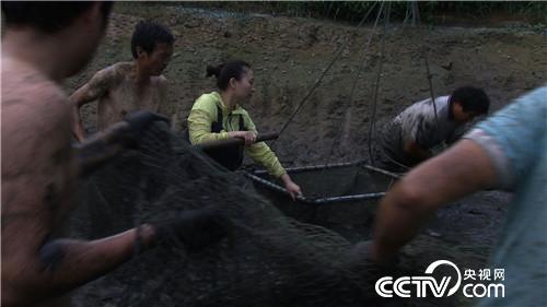 穷小子黑鱼塘捞出500万元(2017.1.9)