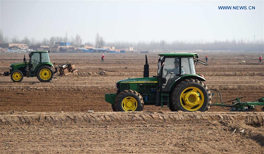 Farmers are seen busy working on farmland as the plowing and sowing season comes along, in Yongning County, northwest China