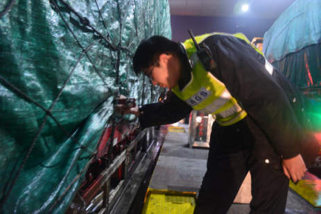 春节期间的夜晚，张瑞珂坚守在收费站口