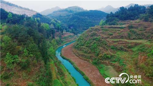 一斤鱼200元 一头牛20万 凭啥 20170221