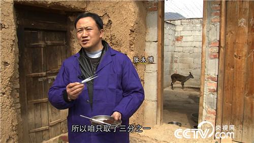 致富经:一克400元 他如何抓住飞檐走壁的商机(20170329)