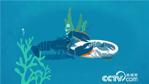 致富经:爱美男人遭遇蓝色诱惑之后(20170330)