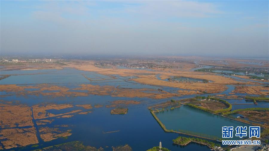 The Baiyangdian wetland is the largest freshwater lake in north China. It is also in the middle of the newly established Xiong