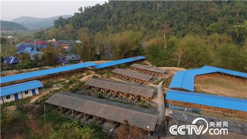 致富经:寻常坛子让穷小伙发现非凡财富(20170503)