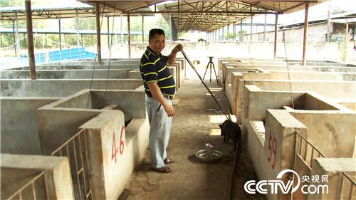 致富经:寻常坛子让穷小伙发现非凡财富(20170503)