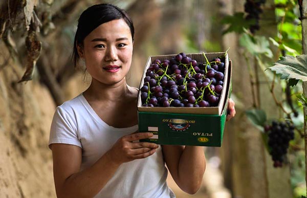 A woman holds a box of grapes in Hebei province on May 8. [Photo/Xinhua]