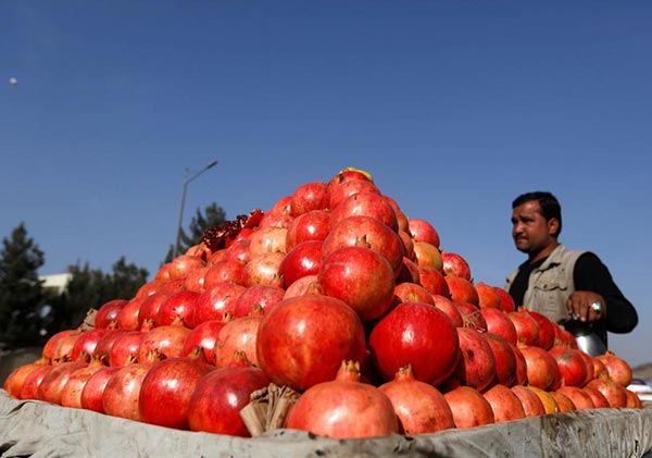 An Afghan man sells pomegranates along a street in Kabul, Afghanistan October 19, 2016. [Photo/Agencies]