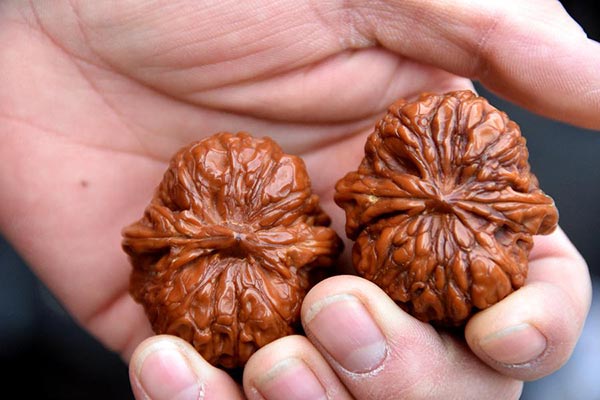 Walnuts. [Photo/Xinhua]