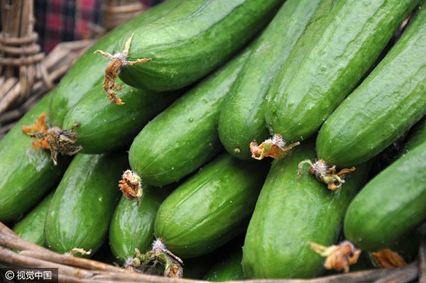 Cucumber. [Photo/VCG]