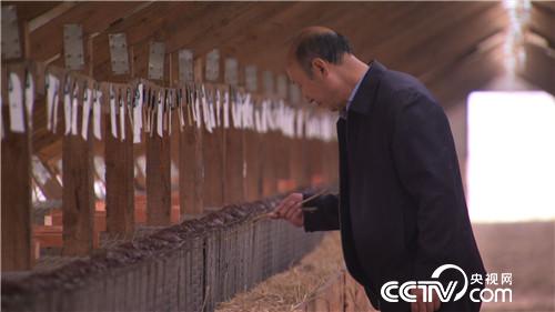 致富经:老人62岁濒临破产 3年后如何年销5000万?(20170510)