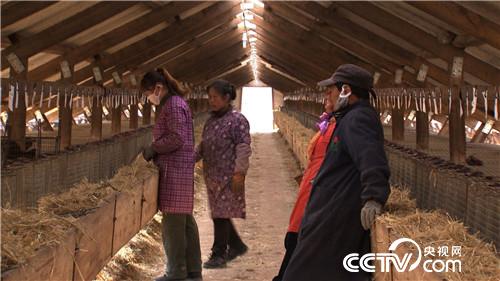 致富经:老人62岁濒临破产 3年后如何年销5000万?(20170510)