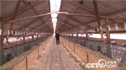 致富经:老人62岁濒临破产 3年后如何年销5000万?(20170510)