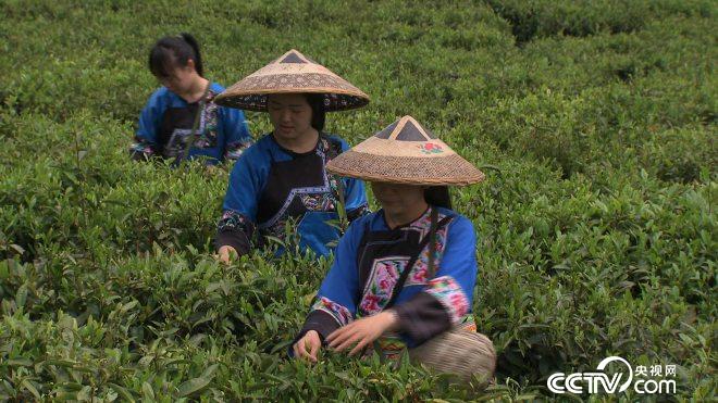 三哥和6000多人的苦乐财富