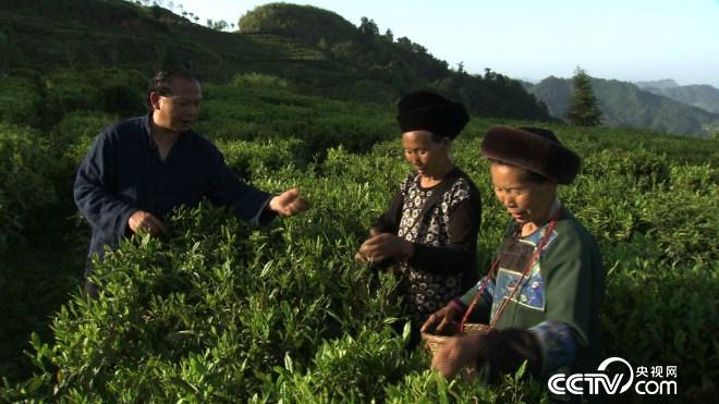 三哥和6000多人的苦乐财富