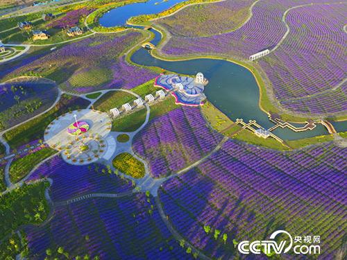 金昌的紫金苑景区 祁小松摄