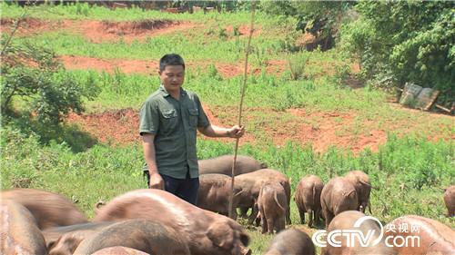 致富经:啃老六年被赶出家门之后(20170620)