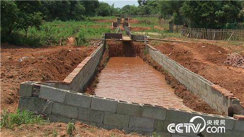 致富经:啃老六年被赶出家门之后(20170620)