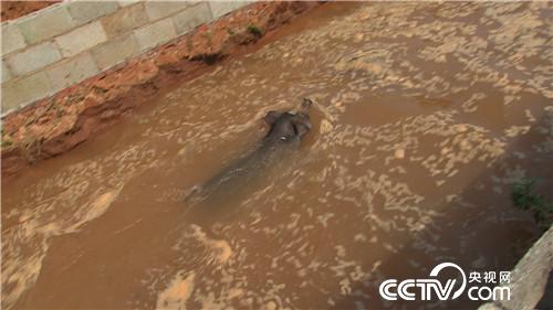 致富经:啃老六年被赶出家门之后(20170620)