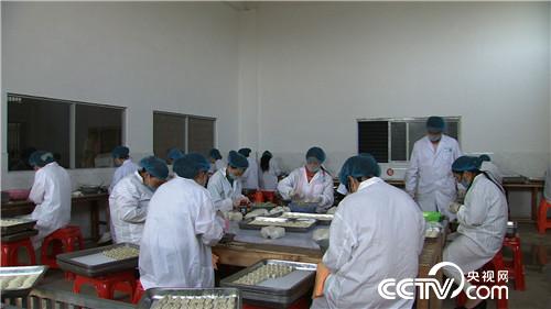 致富经:啃老六年被赶出家门之后(20170620)