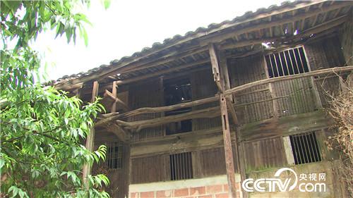 致富经:啃老六年被赶出家门之后(20170620)