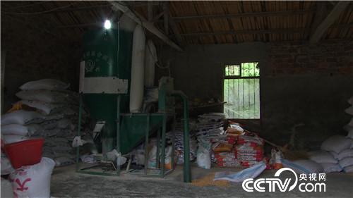 致富经:啃老六年被赶出家门之后(20170620)