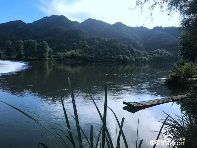 潮大叔的辣财富