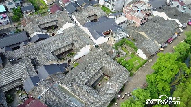 潮大叔的辣财富