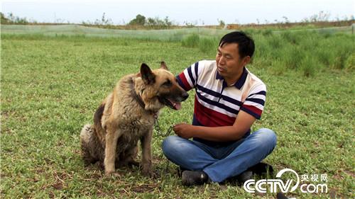 致富经:带着漂亮媳妇回家啃老的背后(20170711)