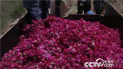 致富经:老爸给的500万不买房 偏要花花世界(20170712)